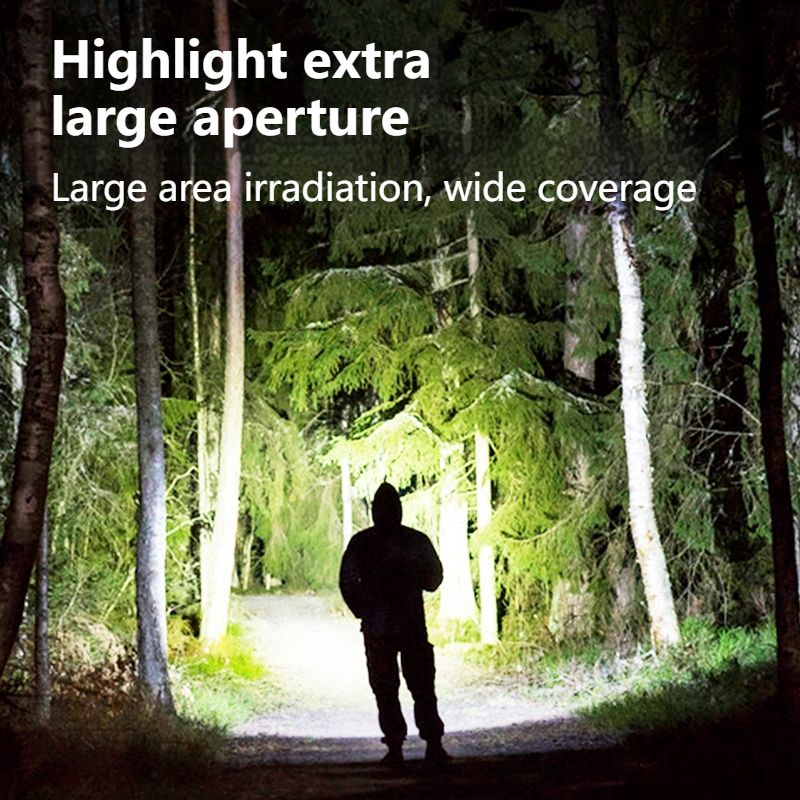 Philips 1236 Flashlight LED Wi - Outdoor Lighting Philips のレビューと価格
