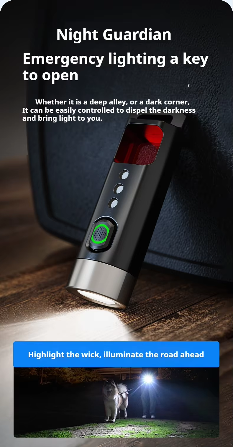 Philips Sfl 1121P Edc Flashlig - Outdoor Lighting Philips のレビューと価格