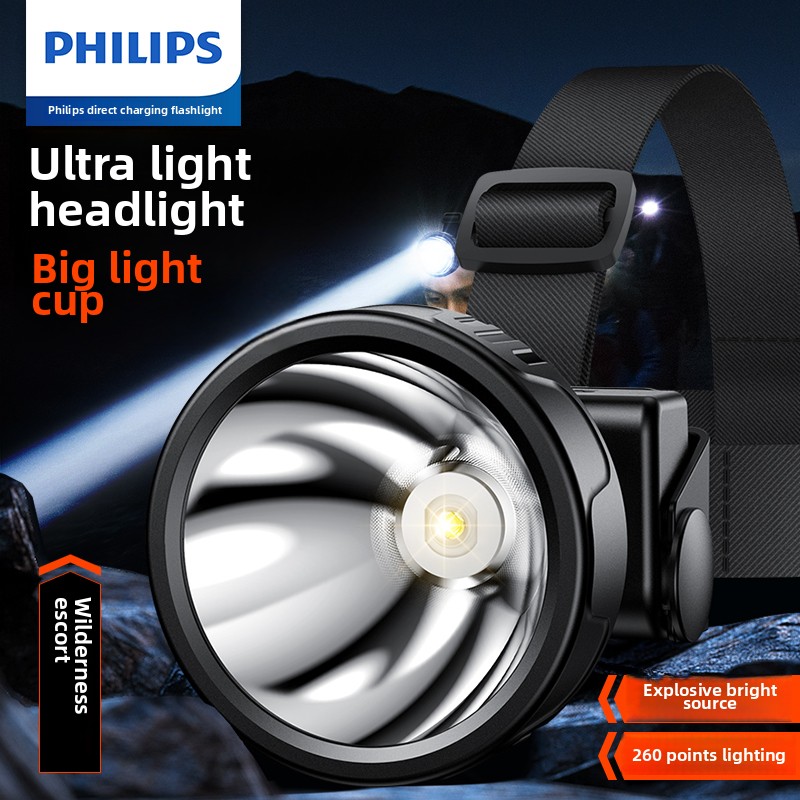 PHILIPS SFL1342 LED Headlamp S - Outdoor Lighting Philips のレビューと価格