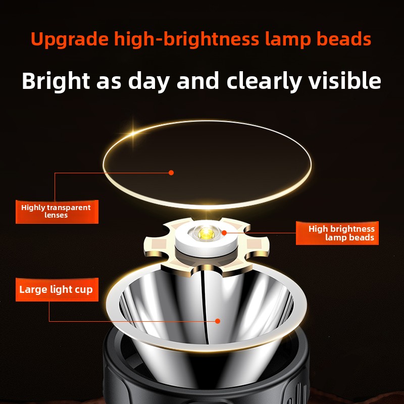PHILIPS SFL1342 LED Headlamp S - Outdoor Lighting Philips のレビューと価格