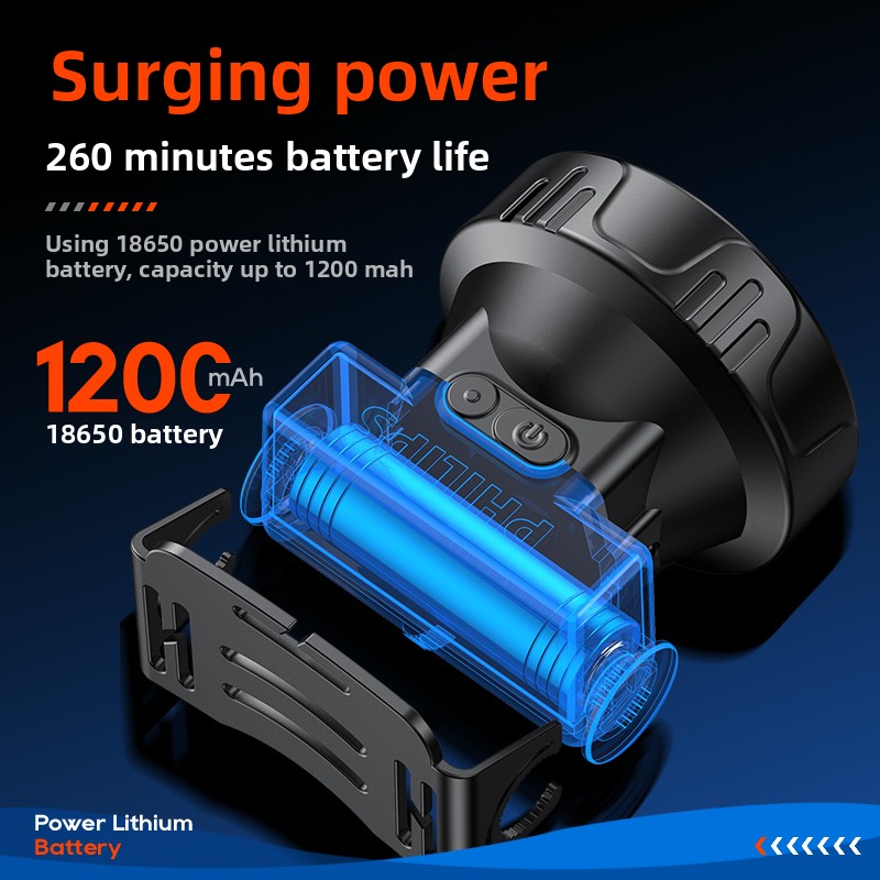 PHILIPS SFL1342 LED Headlamp S - Outdoor Lighting Philips のレビューと価格