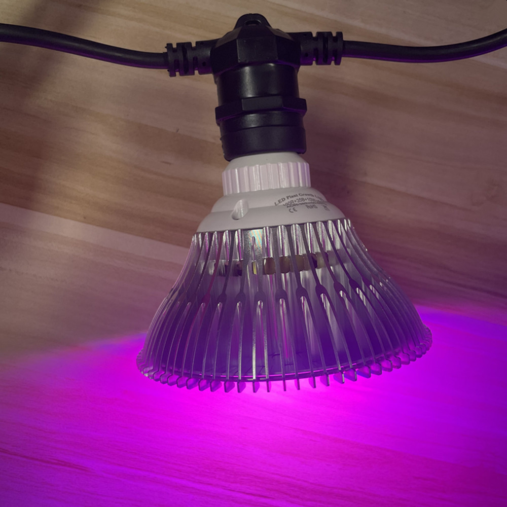 10M Cable LED String Commercia - Outdoor Lighting Sconce のレビューと価格