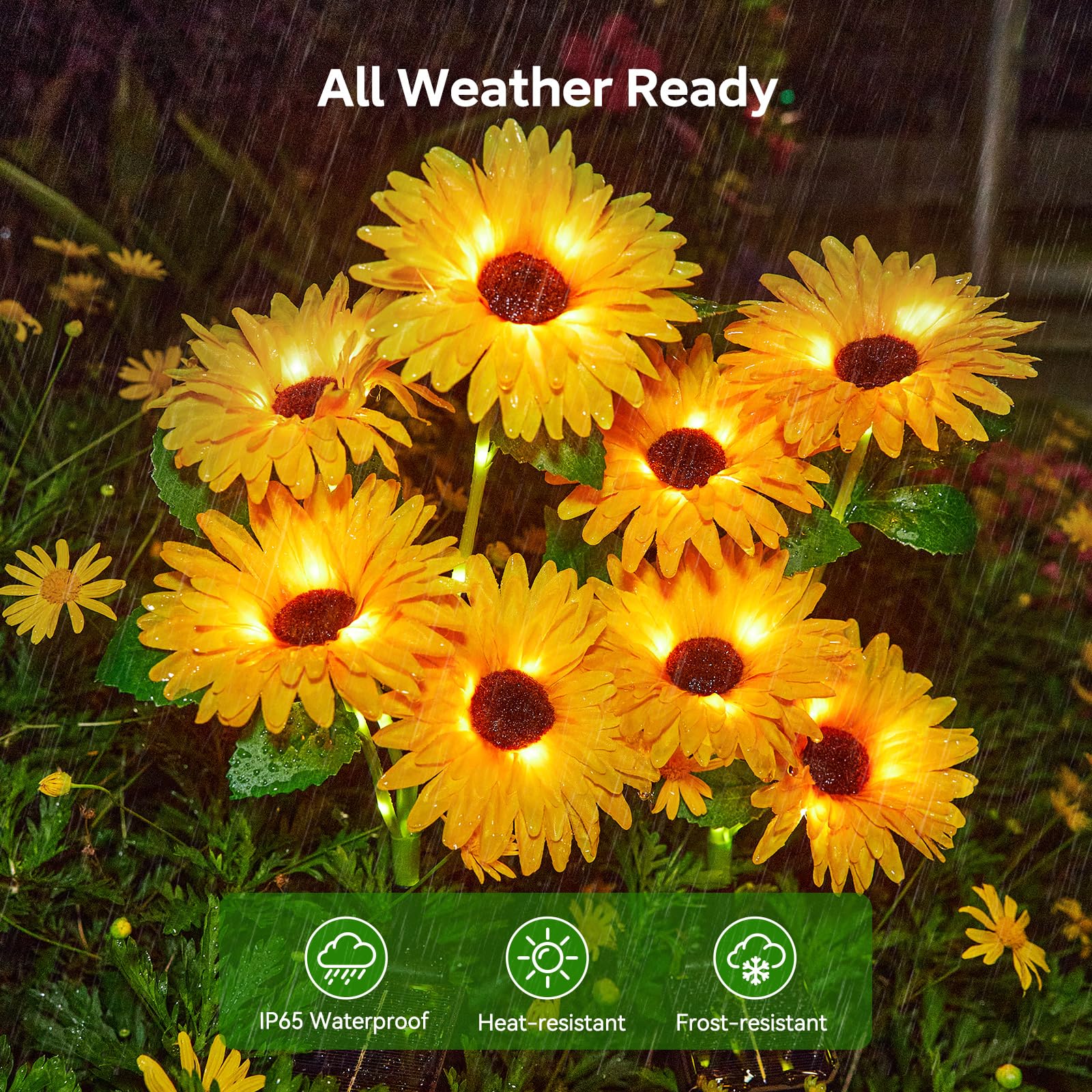Solar Outdoor Garden Lights, 1 - Photocell Outdoor Lighting のレビューと価格