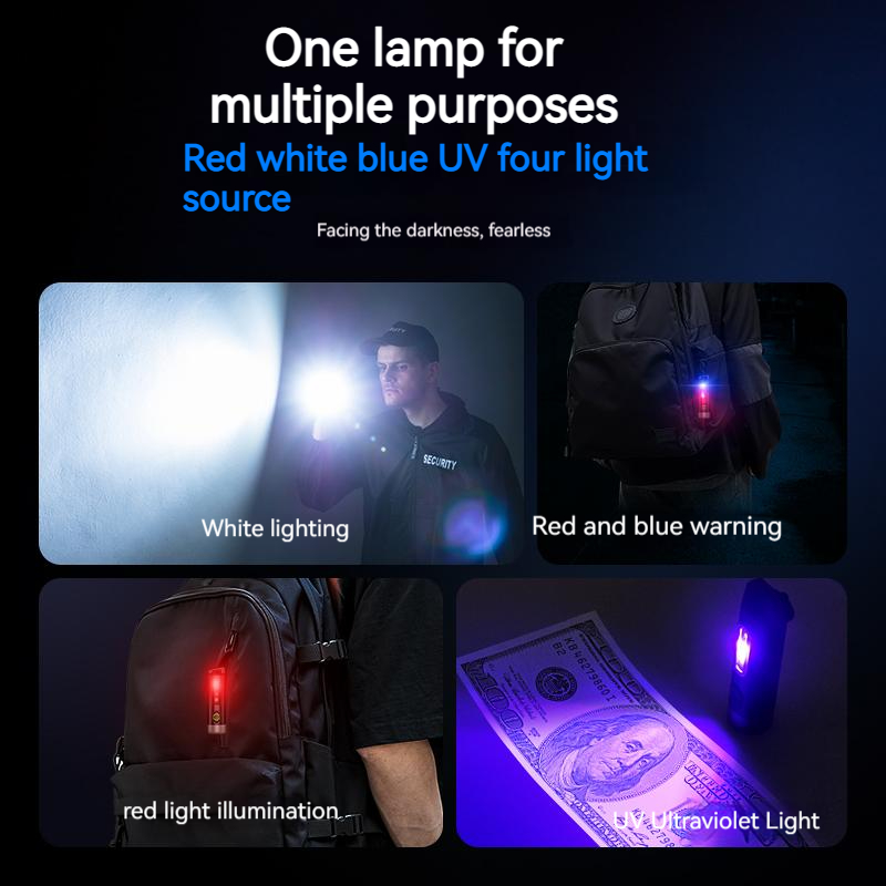 PHILIPS 2025 NEW SFL1121 EDC F - Outdoor Lighting Philips のレビューと価格