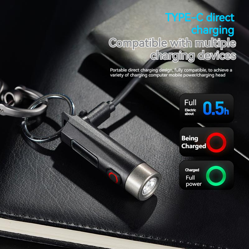 Philips Mini Flashlight SFL112 - Outdoor Lighting Philips のレビューと価格