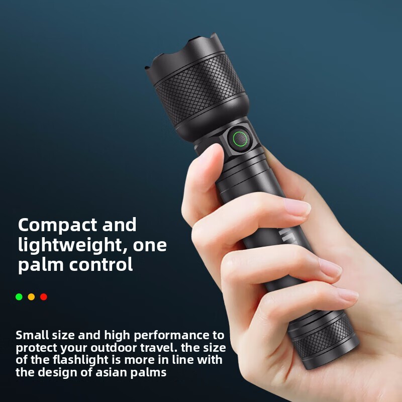 2025 NEW Philips SFL2188 LED A - Outdoor Lighting Philips のレビューと価格