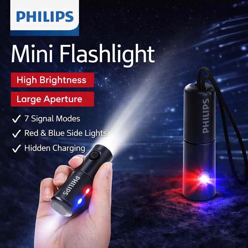 PHILIPS SFL1126 Emergency flas - Outdoor Lighting Philips のレビューと価格