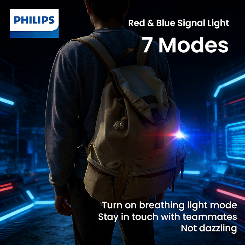 PHILIPS SFL1126 Emergency flas - Outdoor Lighting Philips のレビューと価格