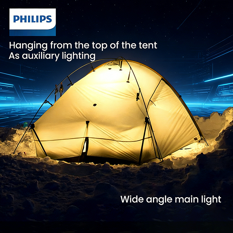 PHILIPS SFL1126 Emergency flas - Outdoor Lighting Philips のレビューと価格
