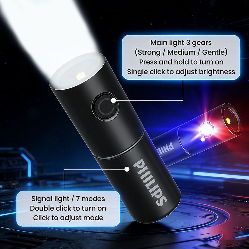 PHILIPS SFL1126 Emergency flas - Outdoor Lighting Philips のレビューと価格