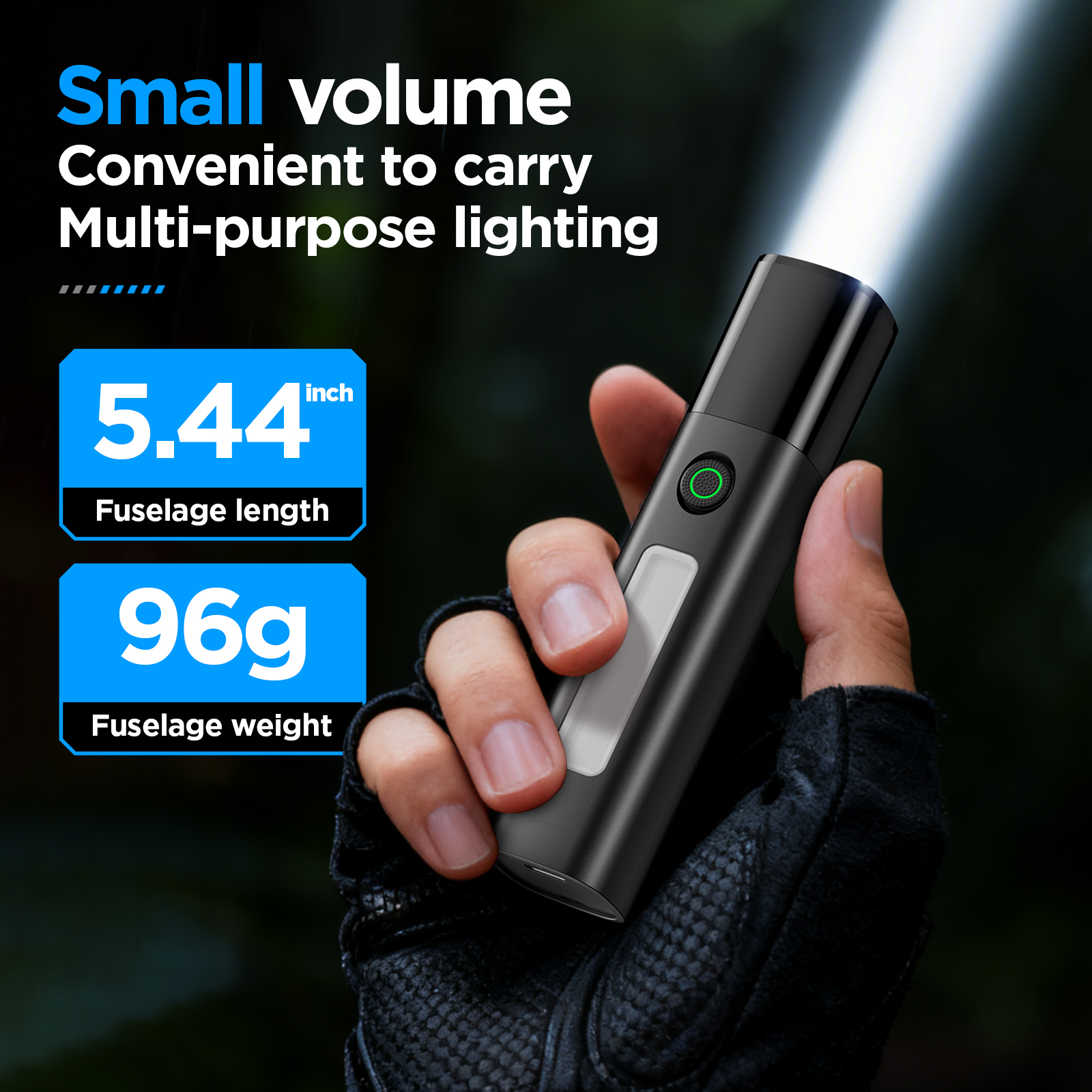 Philips SFL 1151 Flashlight wi - Outdoor Lighting Philips のレビューと価格