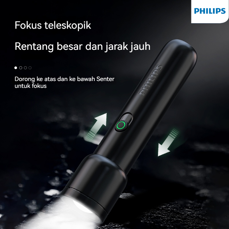 Philips SFL1123 Stepless Dimmi - Outdoor Lighting Philips のレビューと価格