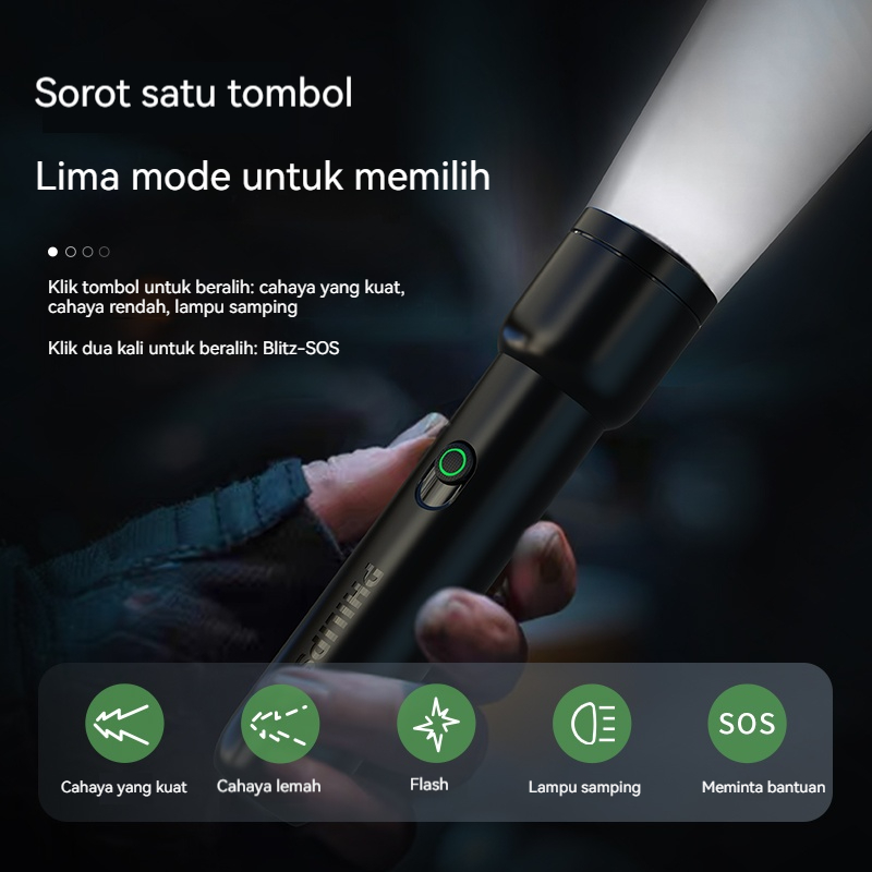 Philips SFL1123 Stepless Dimmi - Outdoor Lighting Philips のレビューと価格