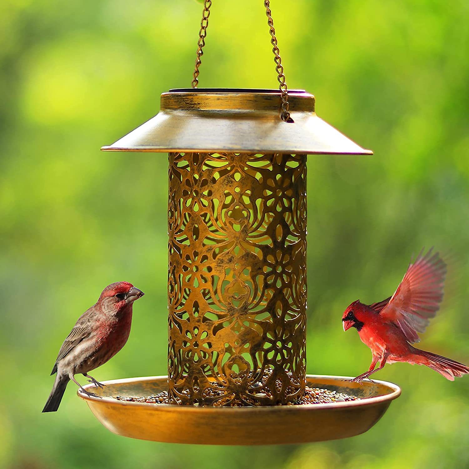 Hanging Bird House Metal Outdo - Outdoor Lighting Ideas For House のレビューと価格