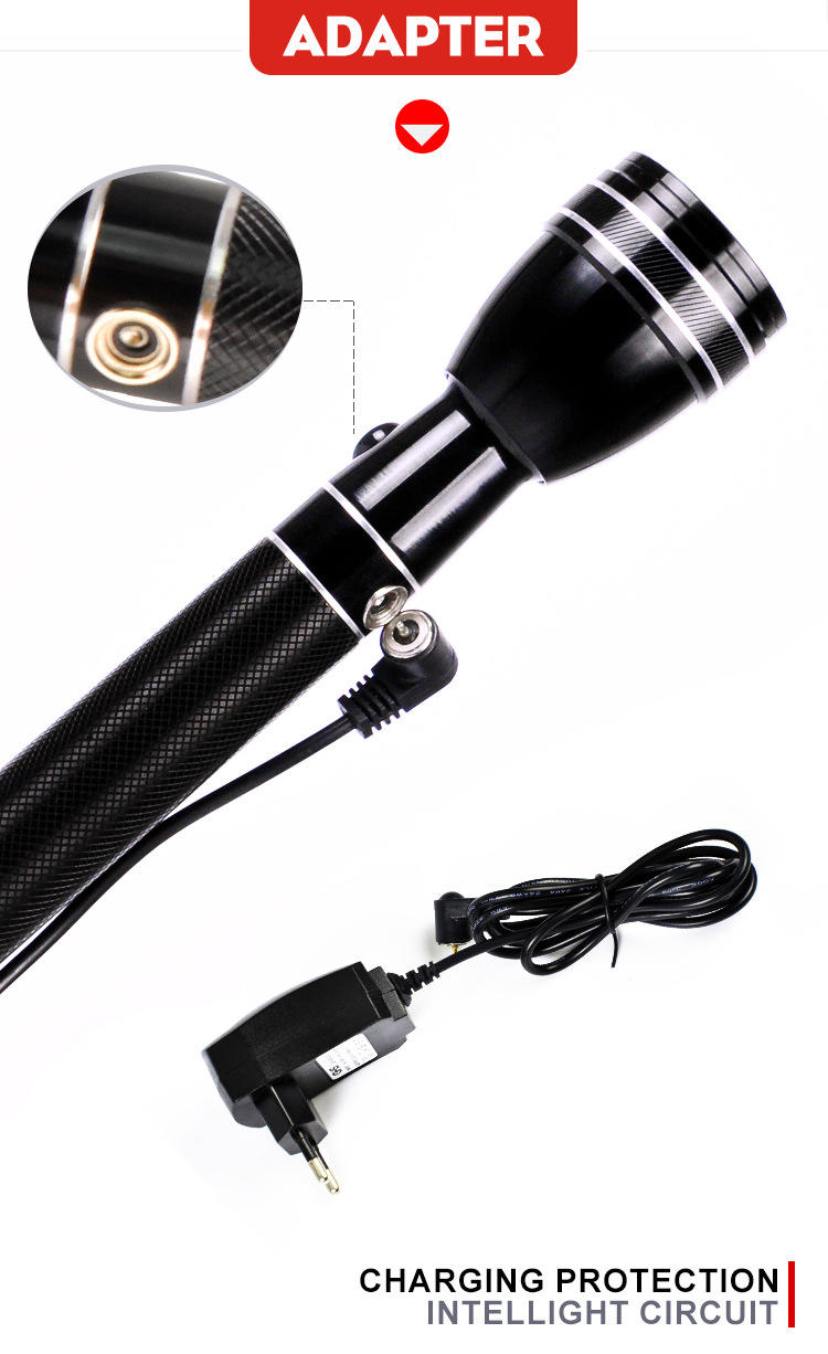 Super Bright Aluminum Body Bat - Outdoor Lighting Philips のレビューと価格